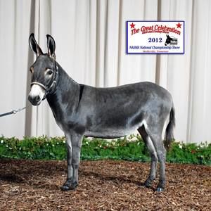 Meet your Posher, Karen